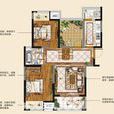 建築面積