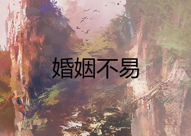婚姻不易 婚姻不易