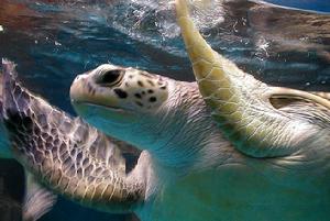 水族館