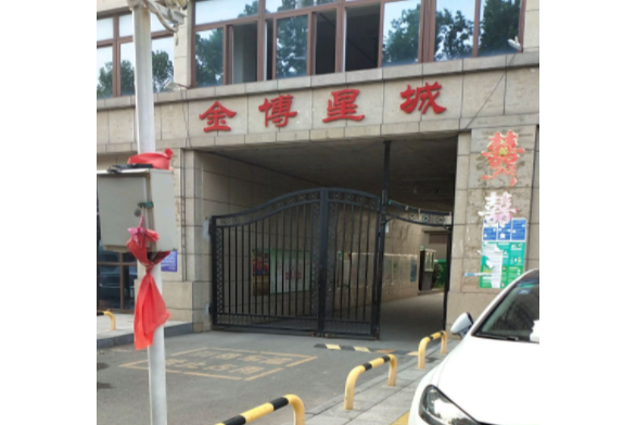 金博星城 金博星城