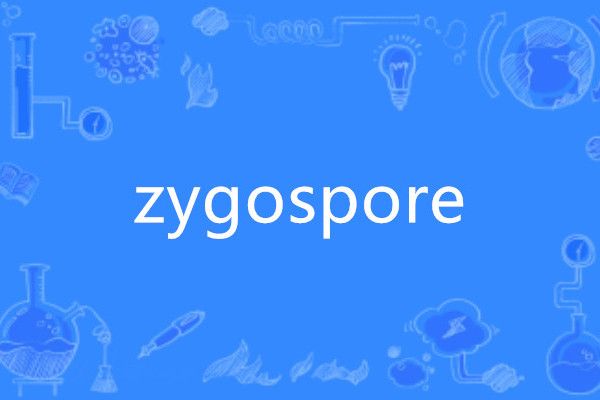 zygospore