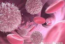 腫瘤幹細胞：模型的爭議與衍化
