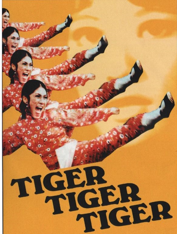 虎虎虎(1973年傅清華執導的台灣電影)