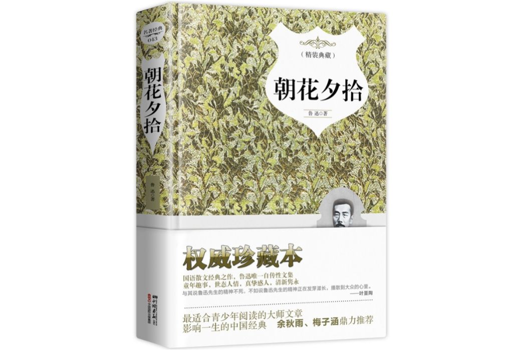 朝花夕拾(2014年中國畫報出版社出版的圖書)