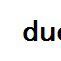 due diligence due diligence