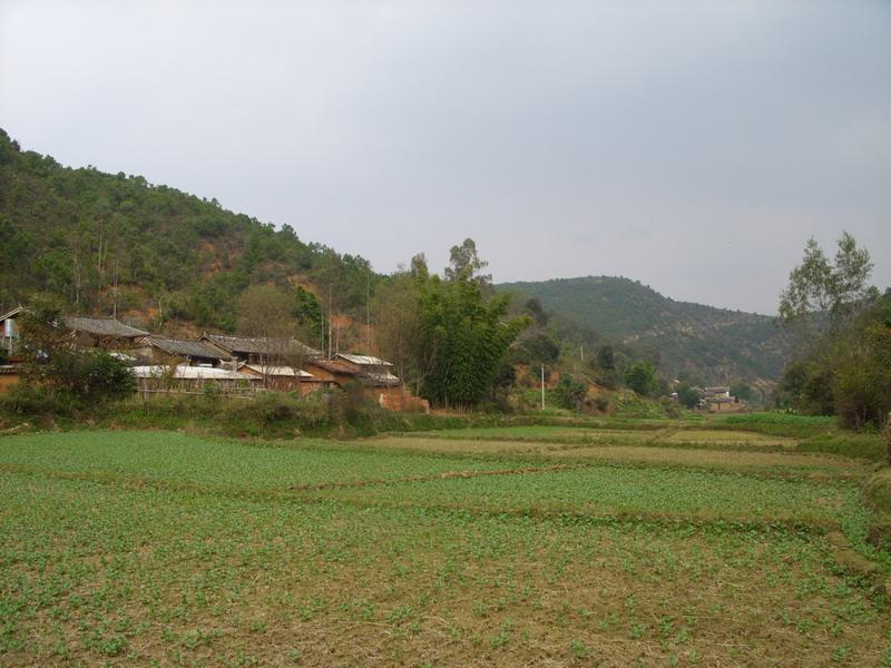 董家箐二村 董家箐二村