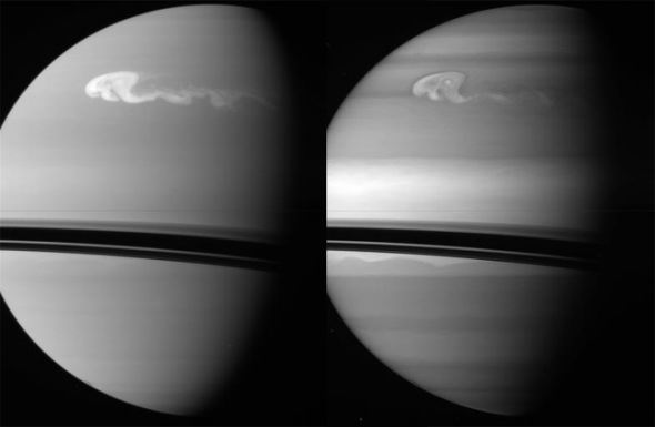 土星北半球出現巨型風暴 形似巨大怪異圓盤