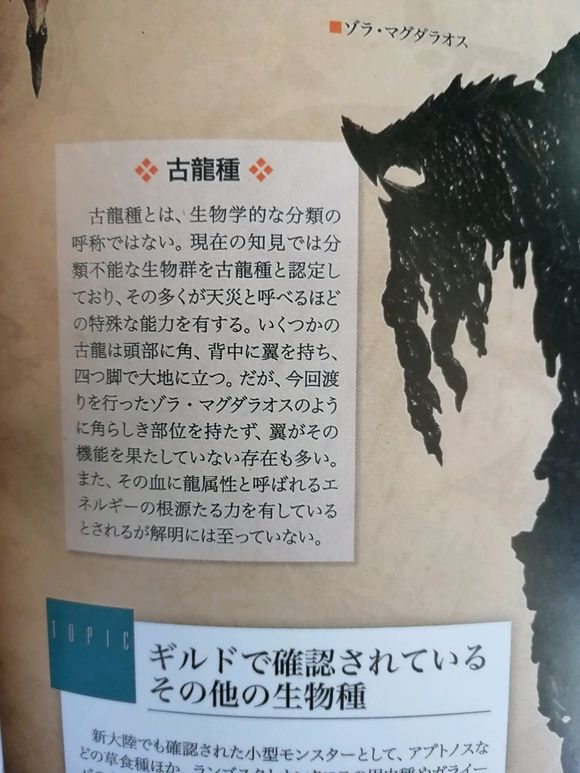 古龍種 設定集的解釋 概括 基本定義 古龍種的特殊性 世界觀中的地位 開發人員的解 中文百科全書