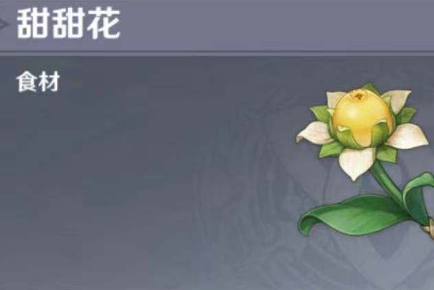 甜甜花 甜甜花