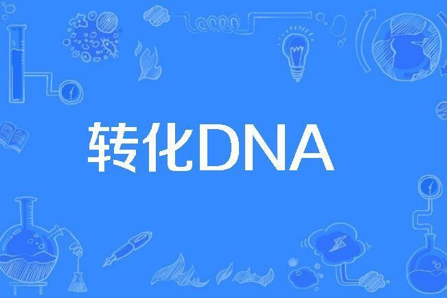 轉化DNA 轉化DNA