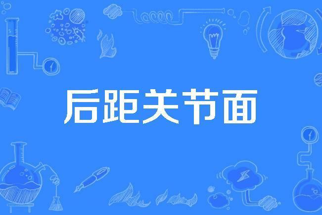 後距關節面 後距關節面
