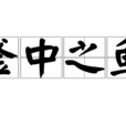 釜中之魚 釜中之魚