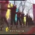 寸蹺娃 寸蹺娃