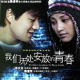 我們無處安放的青春(2008年陳道明主演電視劇) 我們無處安放的青春(2008年陳道明主演電視劇)