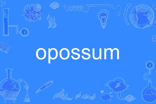 opossum opossum