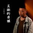 美麗的遺憾(平凡的艾岩演唱歌曲) 美麗的遺憾(平凡的艾岩演唱歌曲)