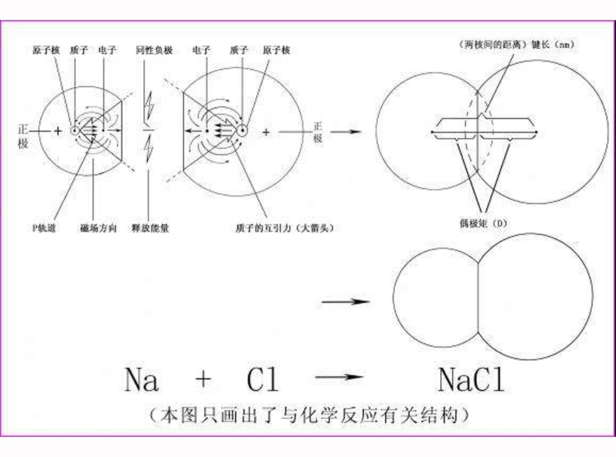 質子平衡