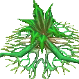 活根草 活根草