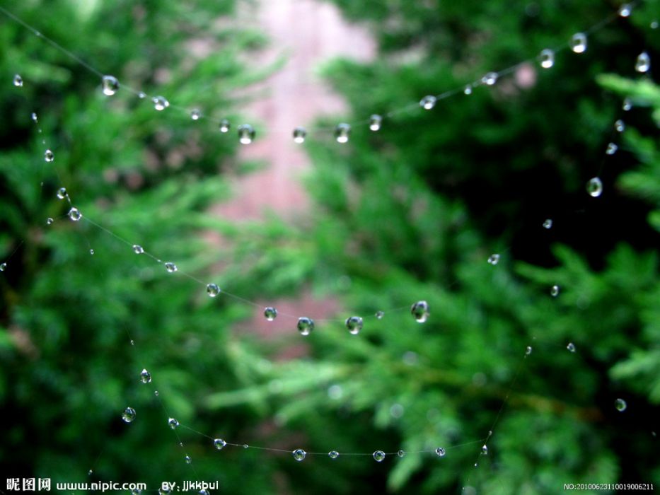 露珠項鍊 露珠項鍊
