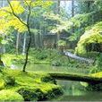 西芳寺 西芳寺