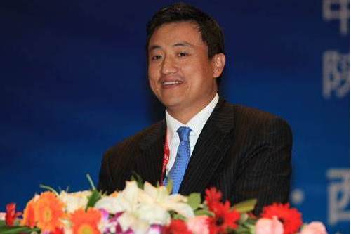 楊小平(中國中信股份有限公司非執行董事) 楊小平(中國中信股份有限公司非執行董事)