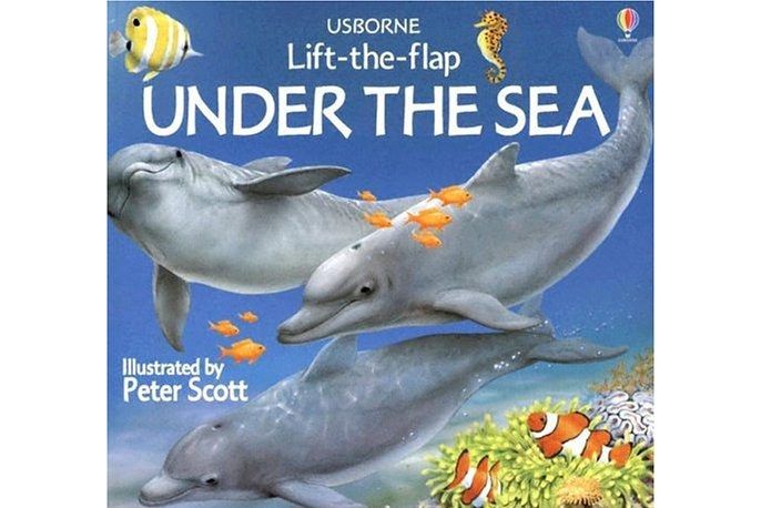 Under the Sea (Usborne Lift-the-Flap) Under the Sea (Usborne Lift-the-Flap)
