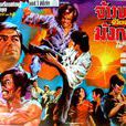 猛虎下山(1973年的香港電影) 猛虎下山(1973年的香港電影)