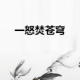 一怒焚蒼穹 一怒焚蒼穹