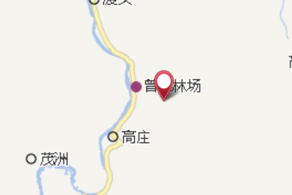根竹 根竹