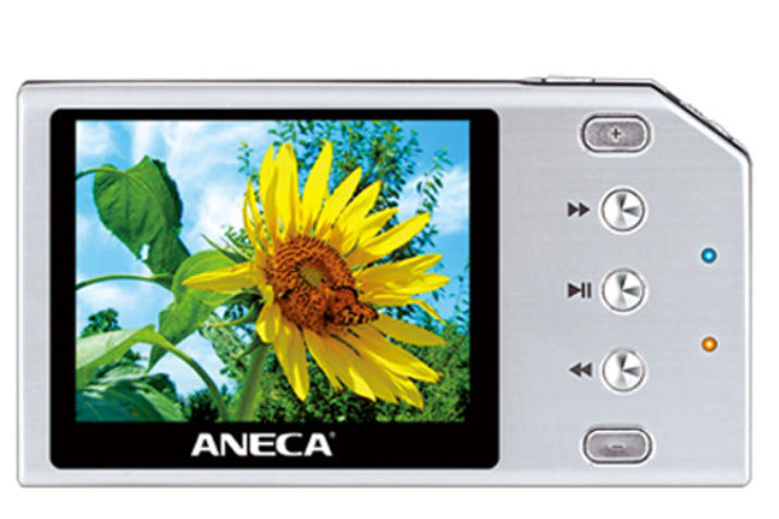 安耐克P190(2GB) 安耐克P190(2GB)