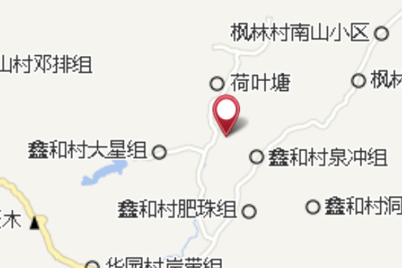 奮發組 奮發組