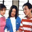 高中女生(2003年大陸電視劇)