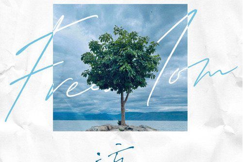 流(2021年陳亦洺演唱的歌曲) 流(2021年陳亦洺演唱的歌曲)