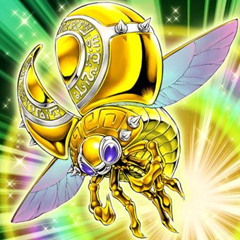 黃金瓢蟲 黃金瓢蟲