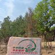 蔣李村 蔣李村