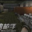 神槍手(2013年中清龍圖研發的射擊類網頁遊戲)