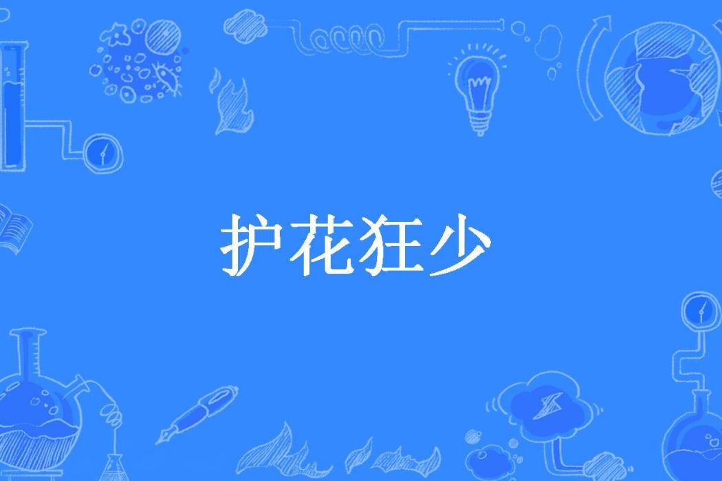 護花狂少(梁帥所著小說) 護花狂少(梁帥所著小說)