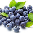 藍莓(甸果)