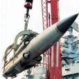 SS-N-22日灸飛彈(SS-N-22)