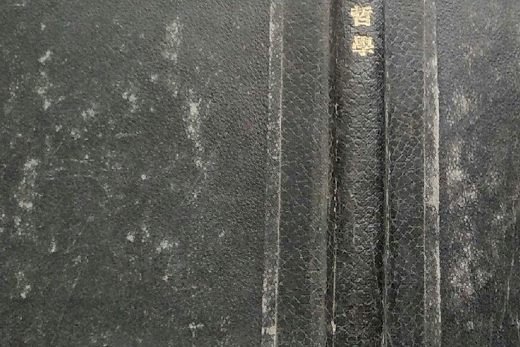 荀子哲學 荀子哲學