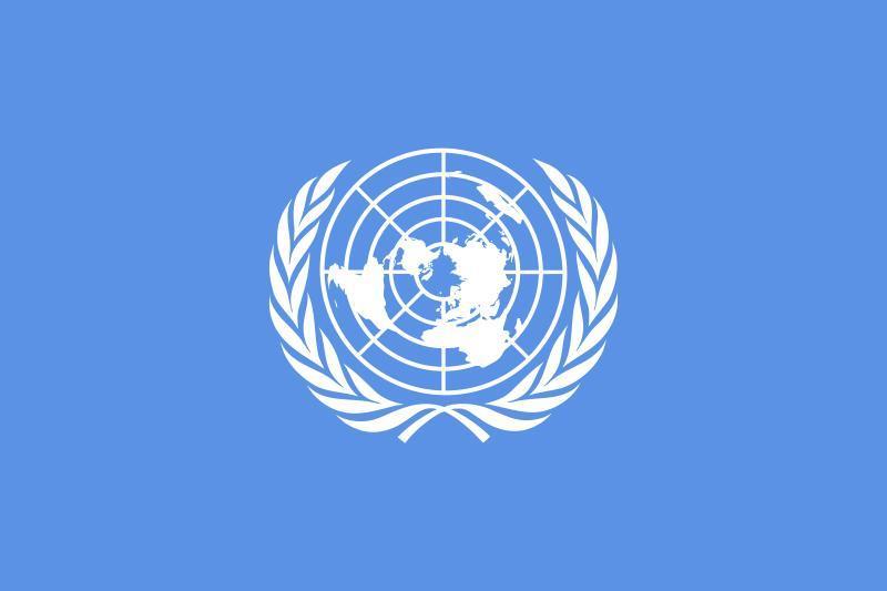 聯合國安全理事會標誌
