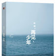再見,少年(小說) 再見,少年(小說)
