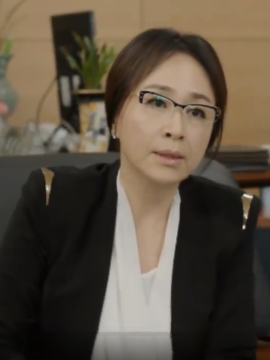 崔景蘭(電視劇《無理的前進》中的角色)