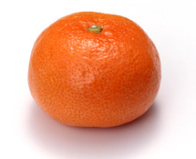 橘子(芸香科柑桔屬的一種水果)