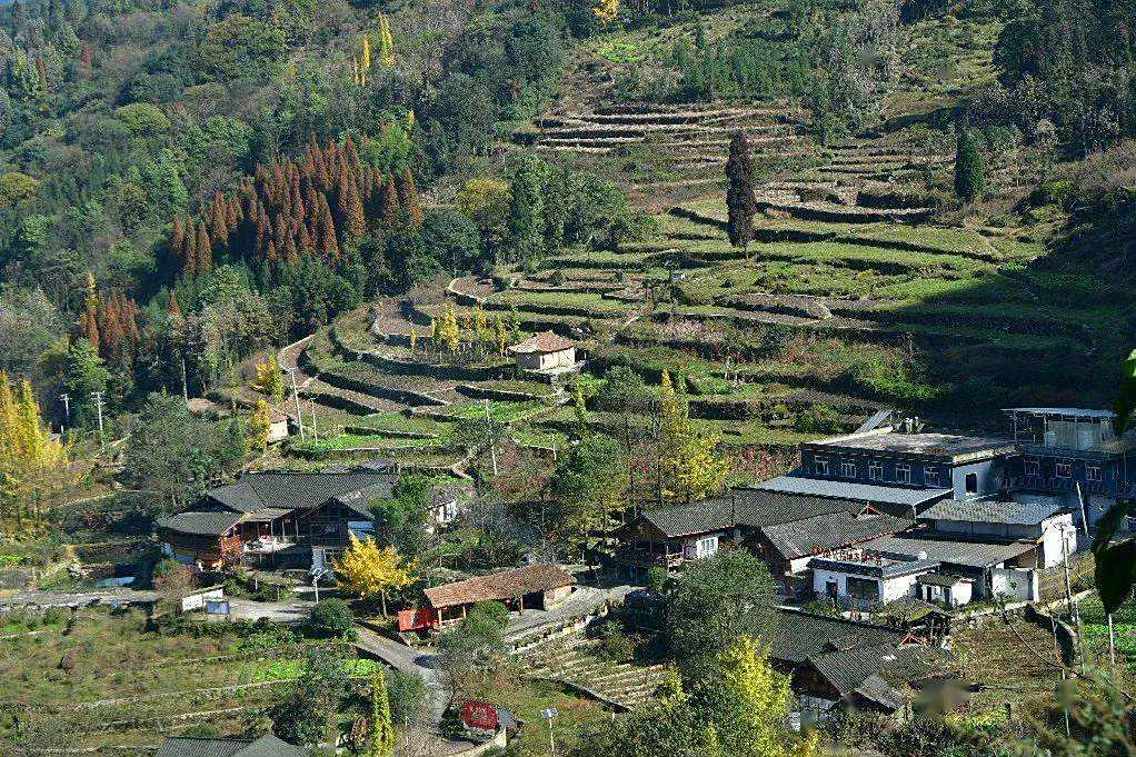 群益村(中國少數民族特色村寨,四川省鄉村振興示範村) 群益村(中國少數民族特色村寨,四川省鄉村振興示範村)