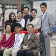 娘家(2008年王為執導台灣電視劇)