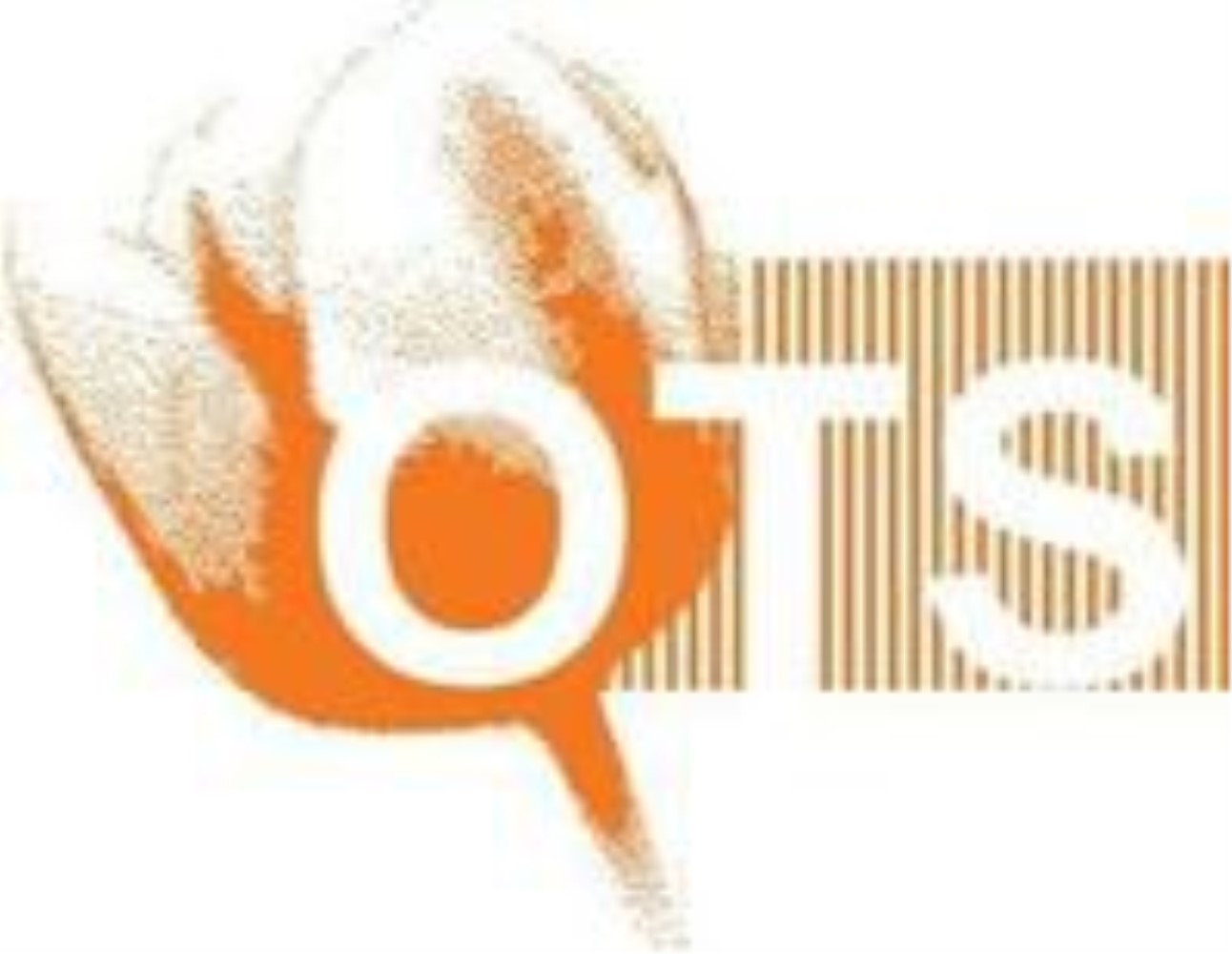 OTS(荷蘭橙色鬱金香獎學金項目)