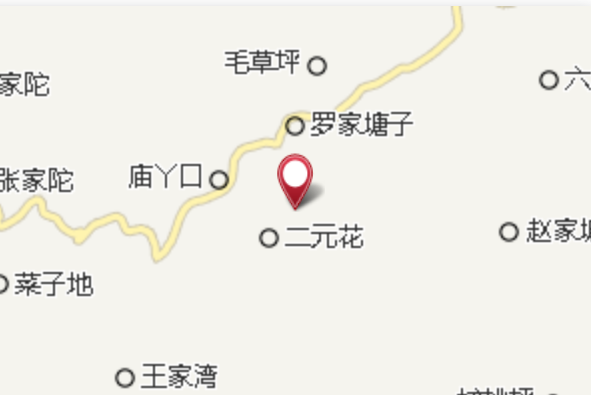 二洋花 二洋花