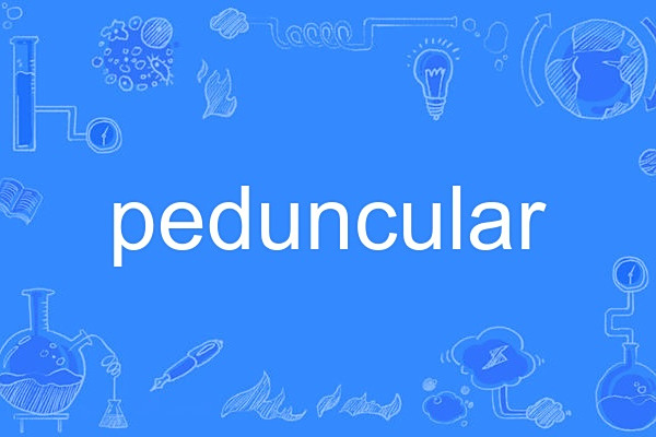 peduncular peduncular