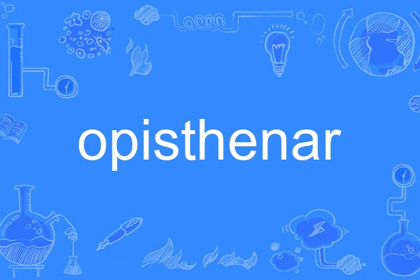 opisthenar opisthenar